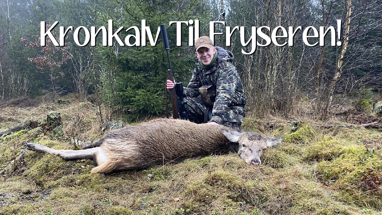 Kronkalv til fryseren!?