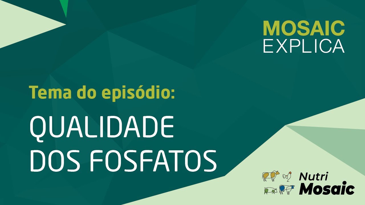 Mosaic Explica - Qualidade dos Fosfatos