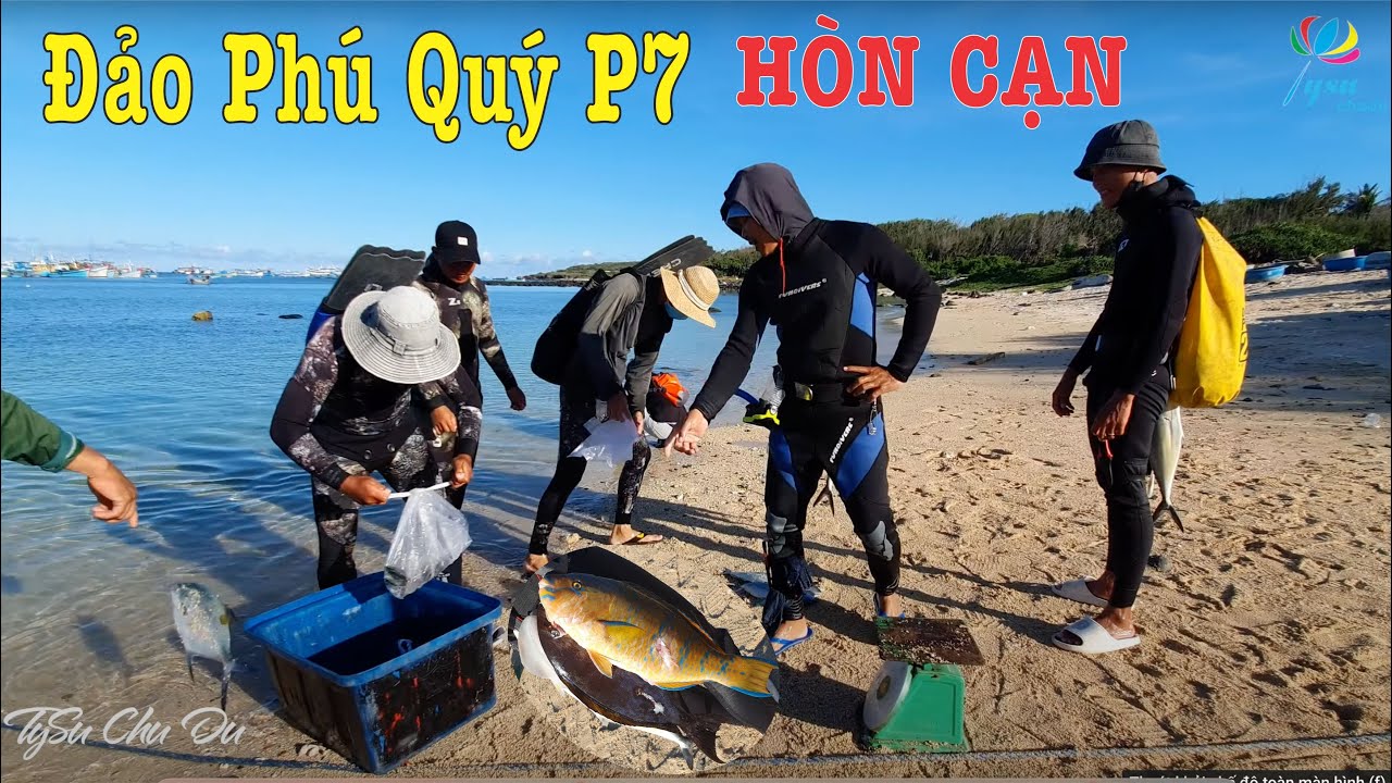P7 ĐẢO PHÚ QUÝ | Lặn Ngắm San Hô Chèo Sub Trên Hòn cạn Vlog |Du lịch Phan Thiết Mũi Né