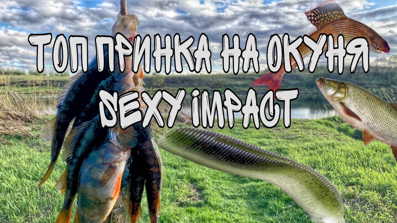 ТОП ПРИМАНКА НА ОКУНЯ SEXY IMPACT. ПАССИВНАЯ ПРИМАНКА НА ОКУНЯ. ЛОВЛЯ ОКУНЯ НА СИЛИКОНОВЫЕ ПРИМАНКИ