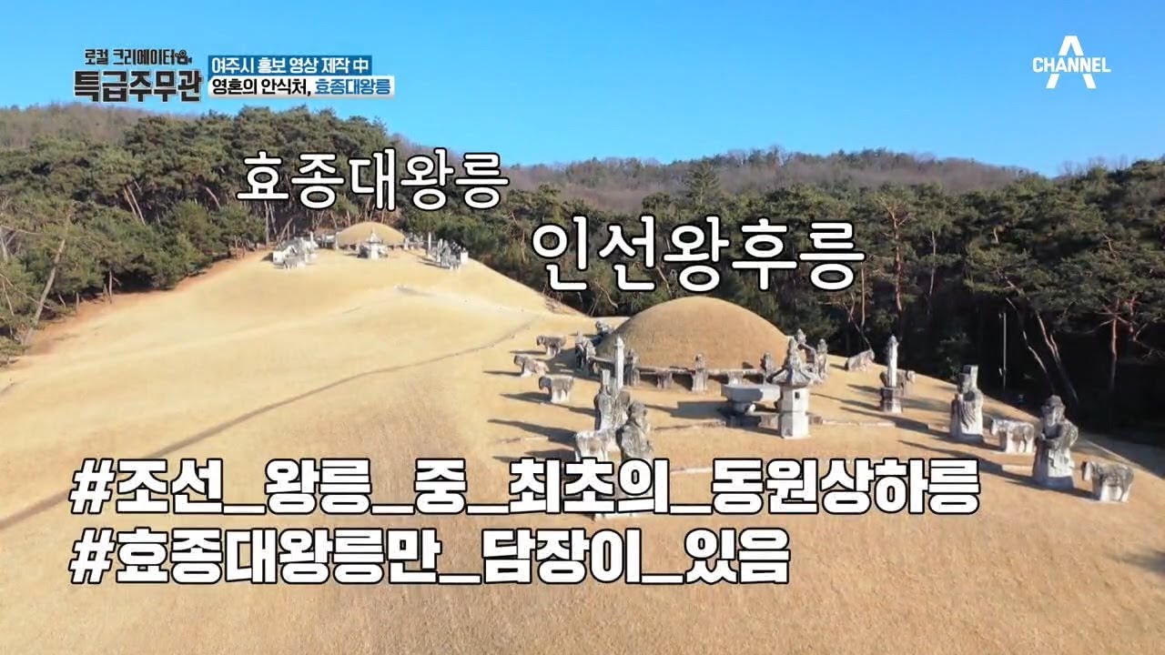 여주의 효종대왕릉에는 다른 왕릉과는 다르게 울타리가 있다?!  | 로컬 크리에이터 특급주무관 3 회