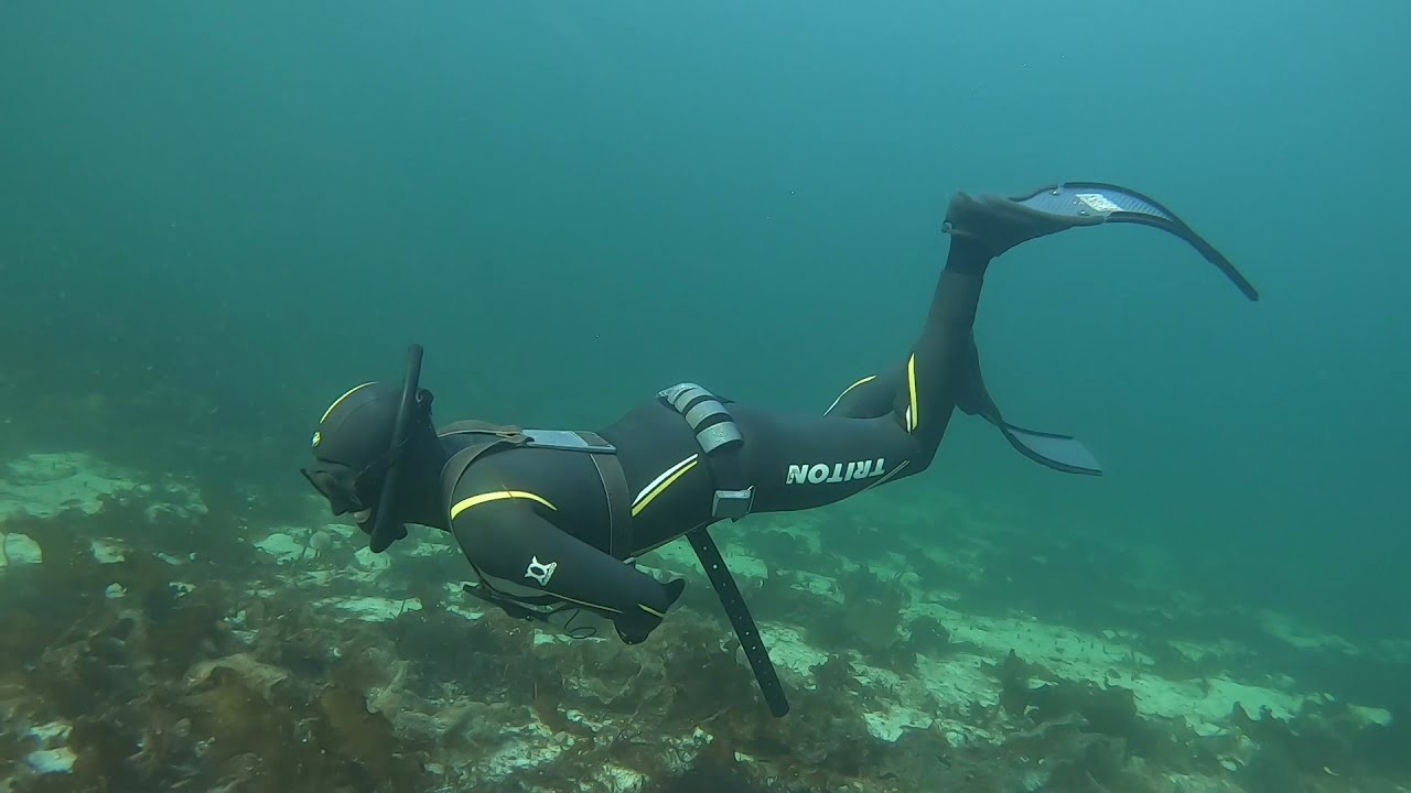 Spearfishing in Norway. Hitra island 2020 HD.