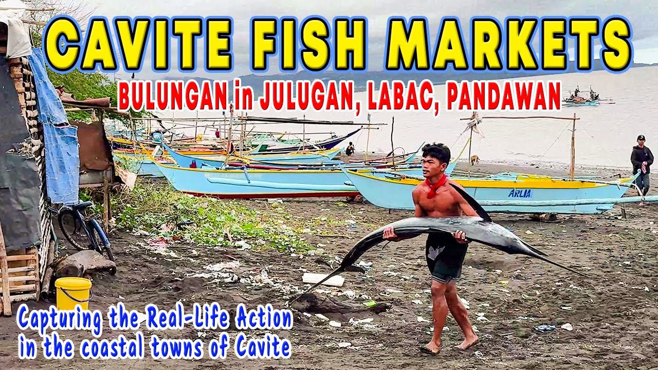 COASTAL FISH MARKET IN CAVITE | Rosario, Tanza and Naic Fish Landings