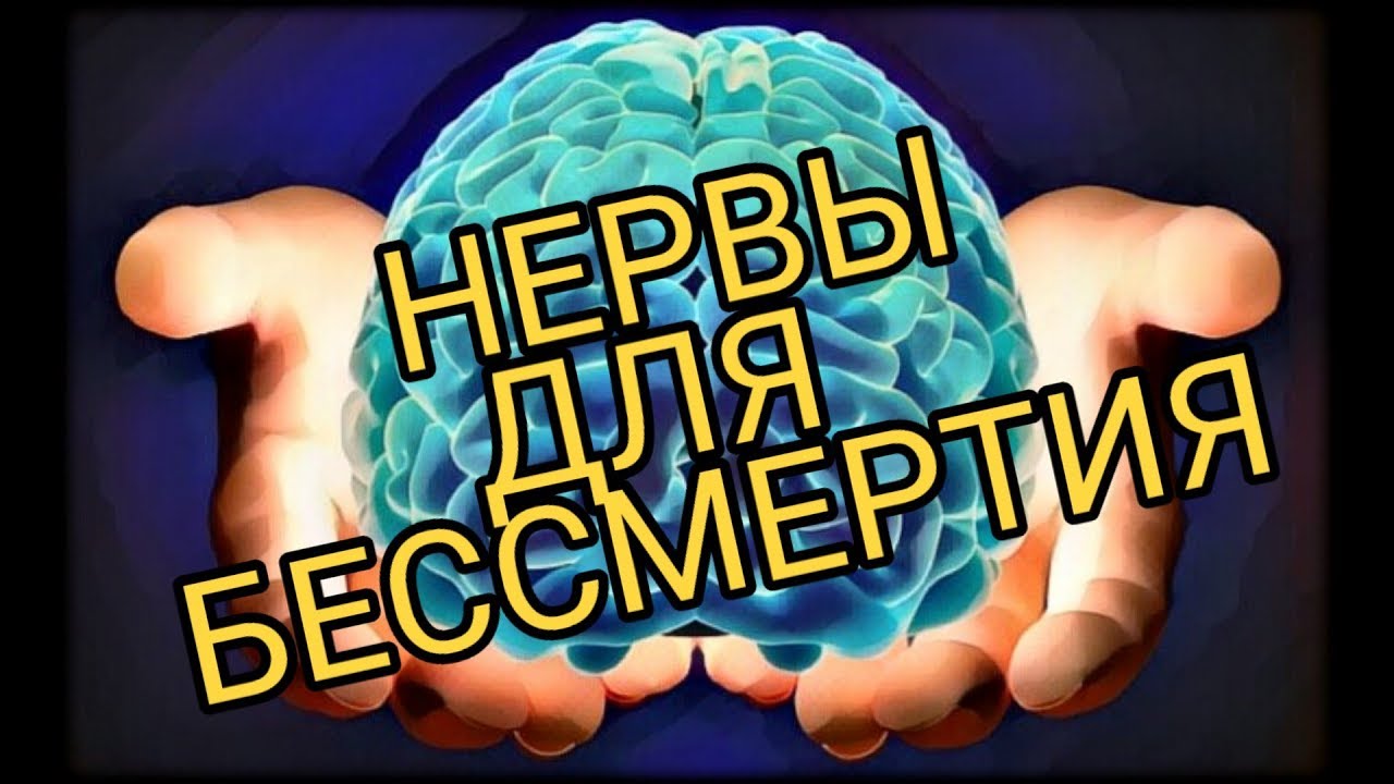 📌📌📌🌍НЕРВЫ ДЛЯ БЕССМЕРТИЯ.  МЕТОДИКА ДОЛГОЛЕТИЯ ОМОЛОЖЕНИЯ И ЖЕЛЕЗНОГО ЗДОРОВЬЯ