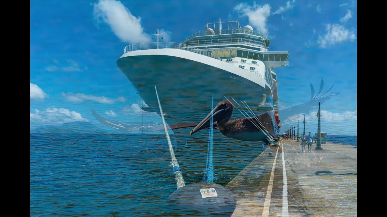 2025 Celebrity Reflection