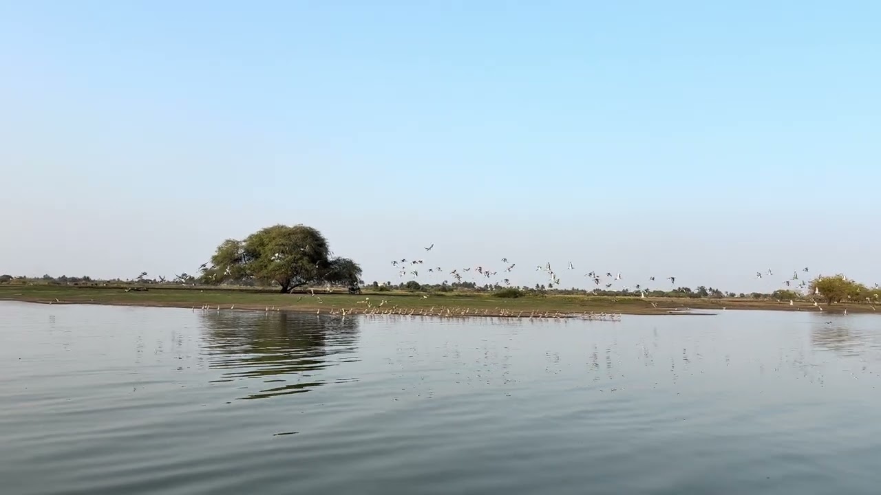 Bhigwan Bird Sanctuary Pune-Solapur Highway 21 Feb 2026