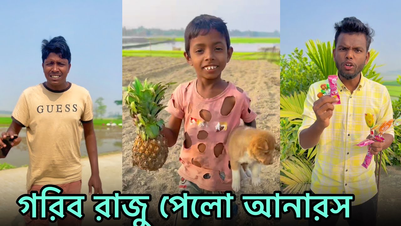 গরিব রাজু পেলো আনারস 😱🍍 | Poor Raju Got Pineapple | Part 48 | NLF Sohel Official