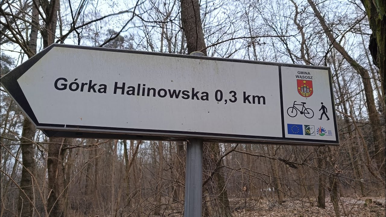 Zima w biegu za miastem 24.01.2026 🏃😊