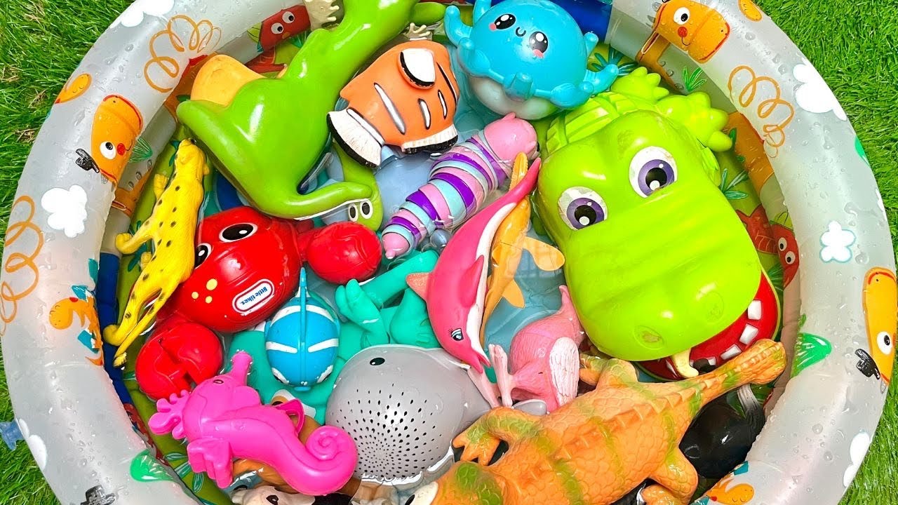 sea Toy Adventures Ocean Animals Names & Colorful Ocean Toys for Kids