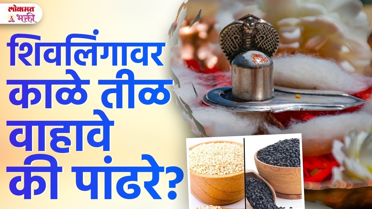 Shivamuth Til: Pandhre Til Vahave Ki Kale Til? Labh, Fayde, Upay | Informative | SG3 | #shivamuth