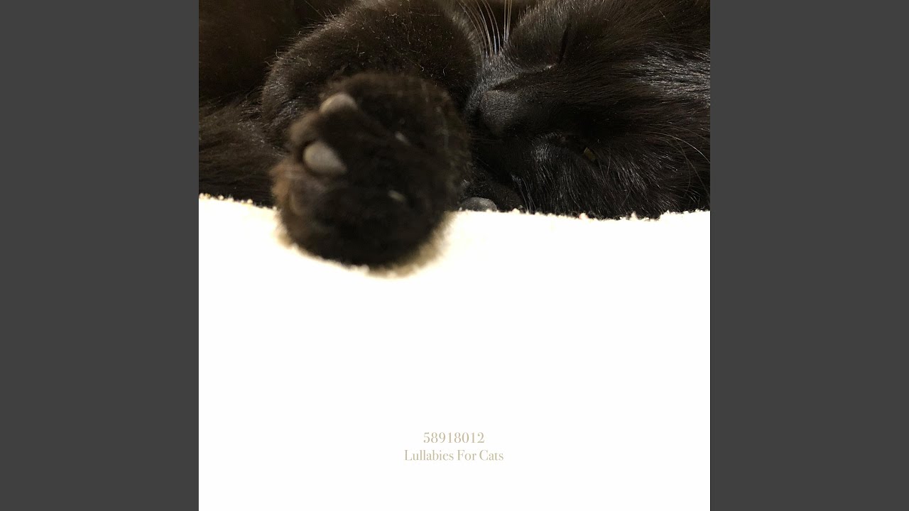 Lullaby For A Cat #3