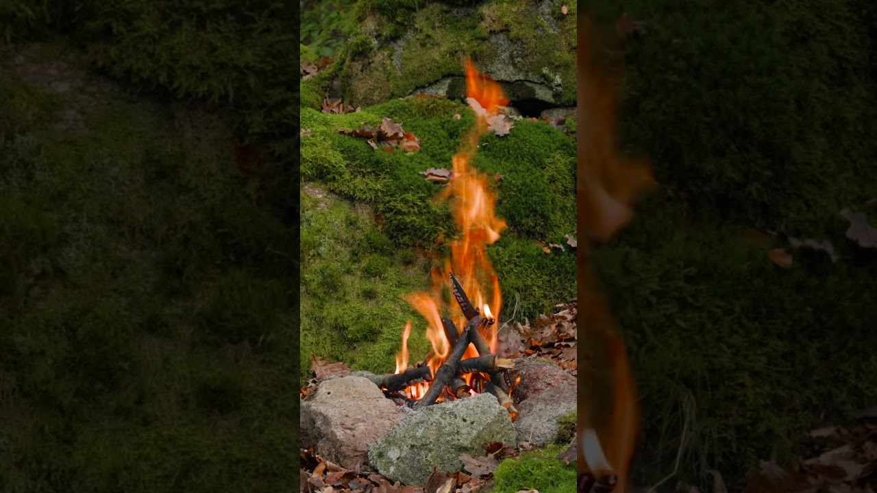 Cozy campfire 🔥 #campfire #relaxingsounds #relaxingfire #campingvibes #cozynature #rivenmoss