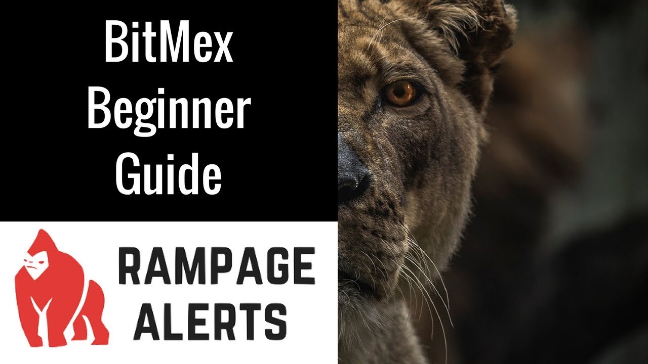 Bitmex for Beginners