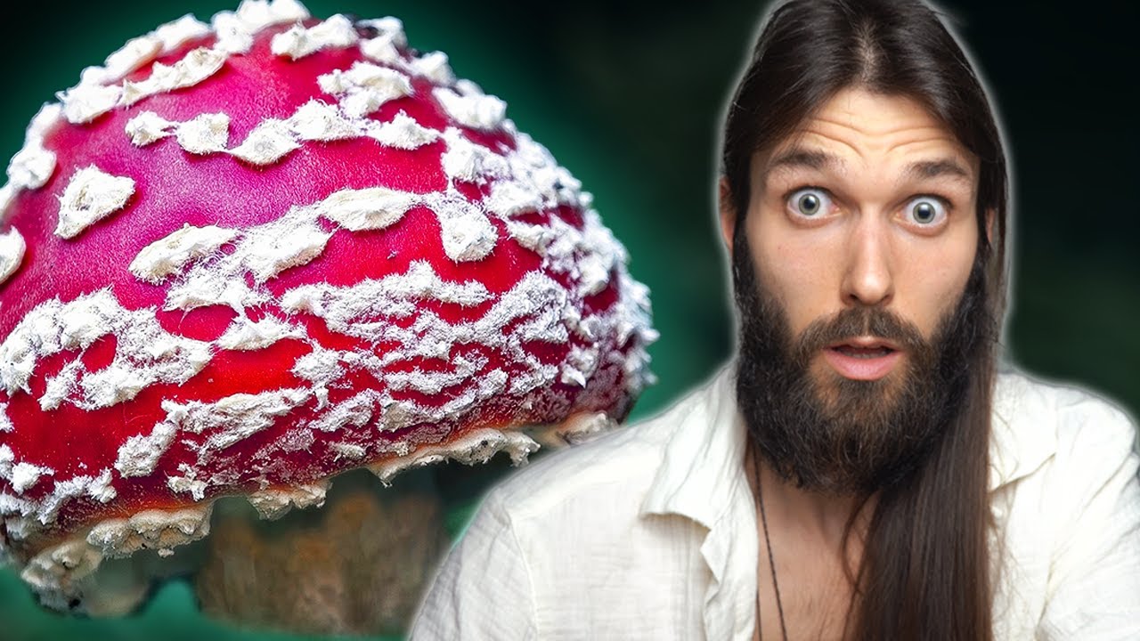 Eating Amanita Muscaria Mushrooms Live || First Trip Experience