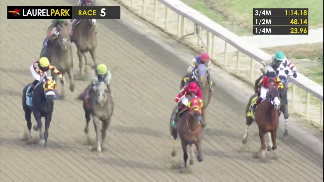 LAUREL PARK 2025-12-06 PL#99_REPLAY SHOW