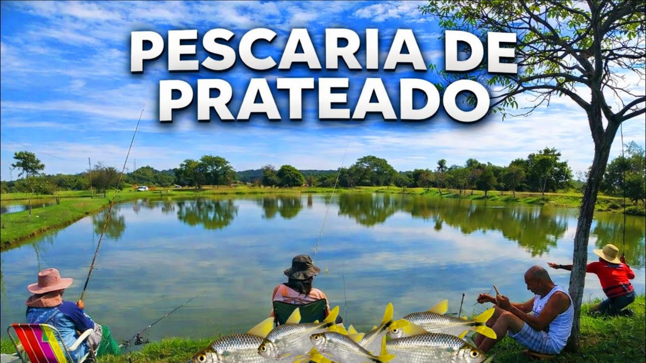 Pescaria de Lambari em Novo Lugar Entre Amigos | Foi Top!