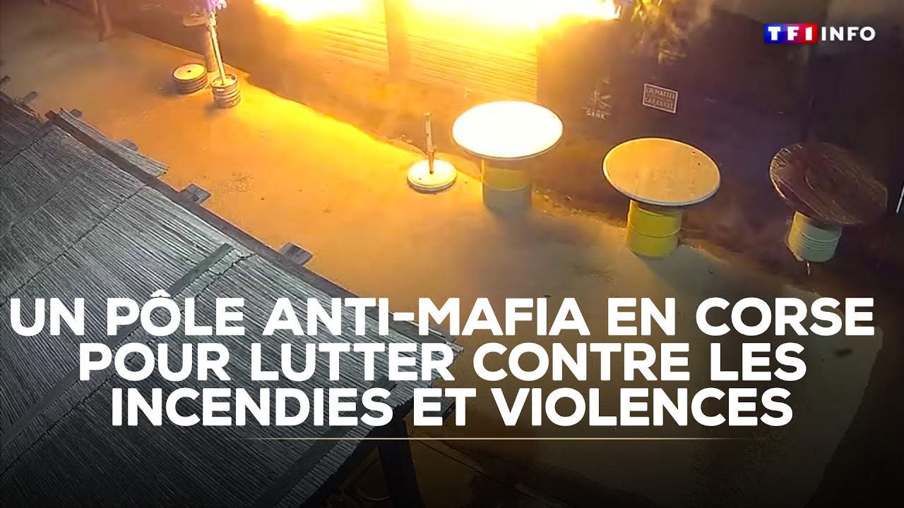 Un pôle anti-mafia en Corse pour lutter contre les incendies et violences｜TF1 INFO