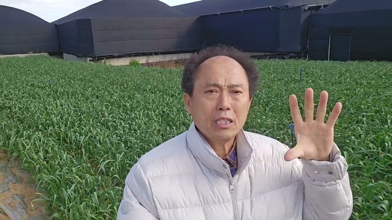 2026년 3월 7일