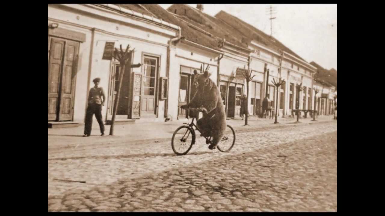 Veliko Gradište - nekad i sad