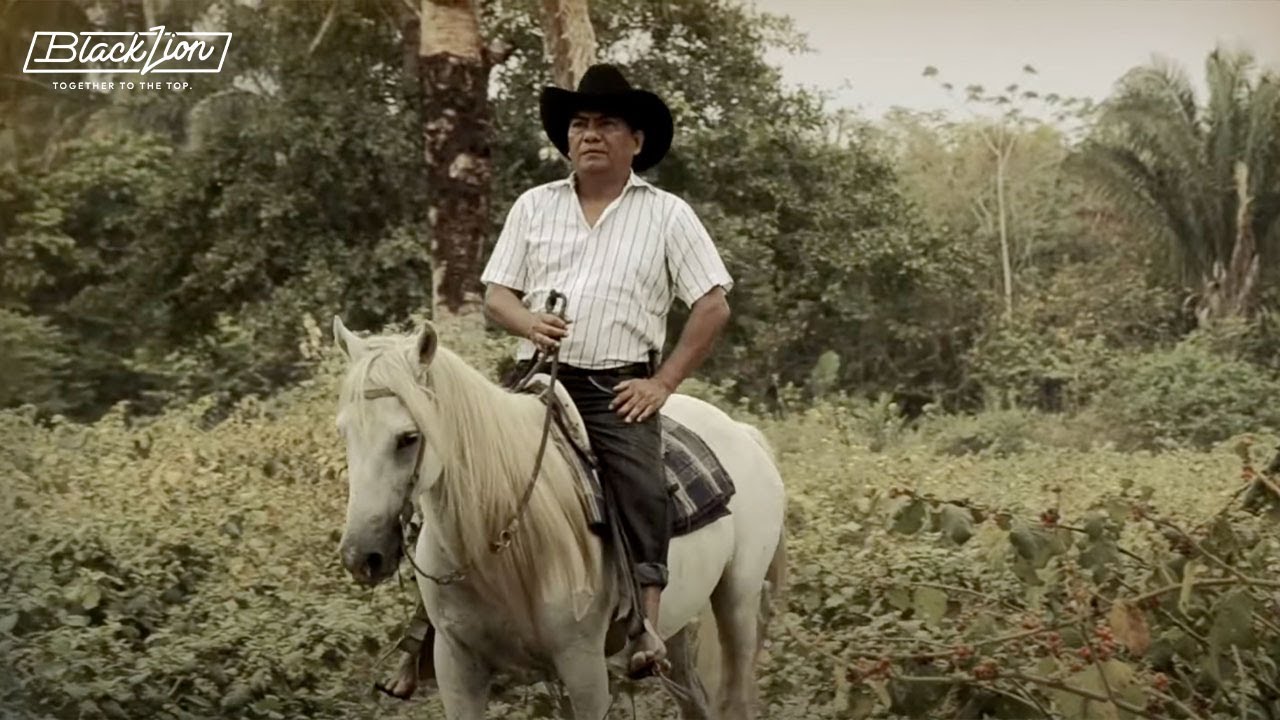 Llanura Aqu&iacute; Esta Tu Hijo @ariesvigothoficial (Video Oficial)