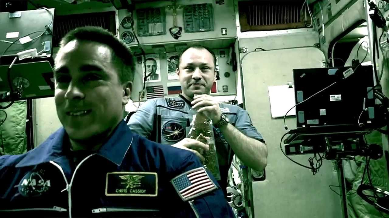 Inside the ISS - Onboard with Chris!