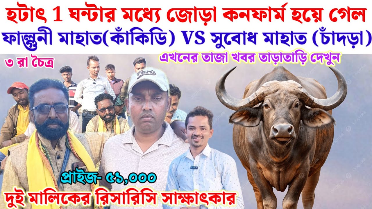 হটাৎ 1 ঘন্টার মধ্যে জোড়া কনফার্ম হয়ে গেল//ফাল্গুনী মাহাত VS সুবোধ মাহাত (চাঁদড়া)