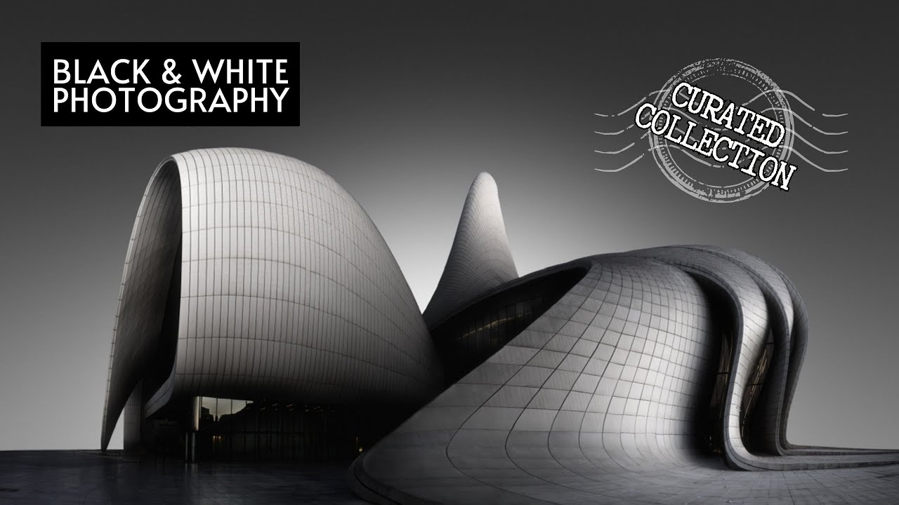 Black and White Photography | Curated Collection 6