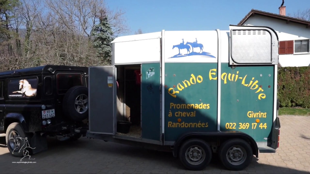 V&eacute;ronique Baumgartner, Equithologie, Equi-Libre, Clandestino photographie