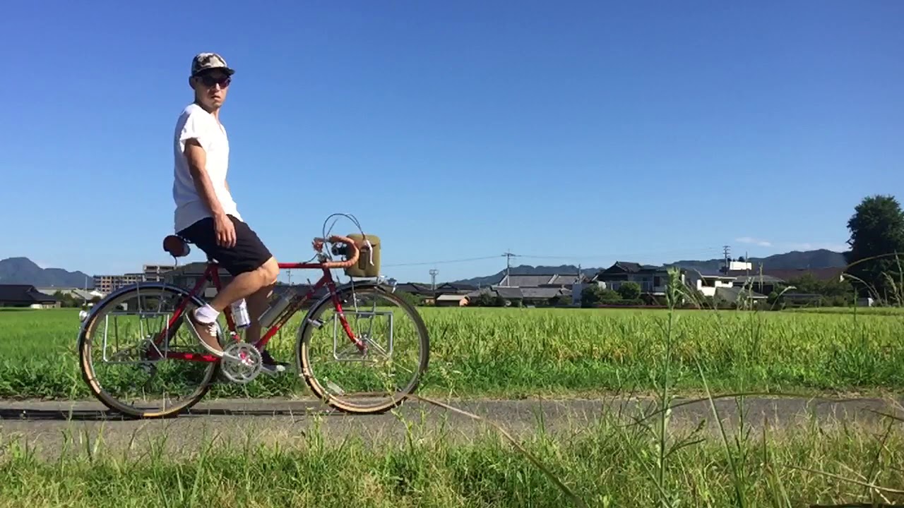 アラヤ スワローランドナー