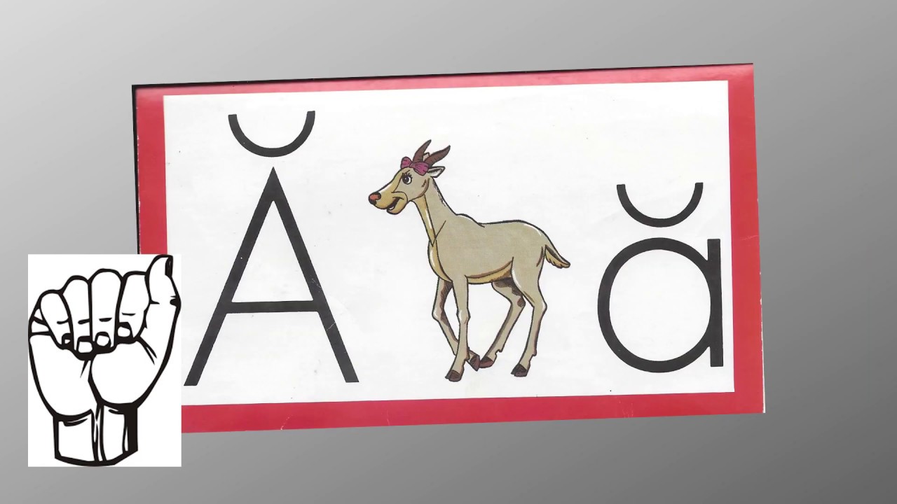 ABC's with Ace and Christy - Letters - Weeks 1-2 (A.C.E. Accelerated Christian Education)