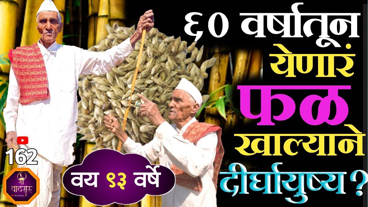 तब्बल 60 वर्षातून एकदाच येणाऱ्या झाडाच्या फळाची भाकरी खाल्ल्यामुळे बाबांना निरोगी दीर्घायुष्य लाभलं?