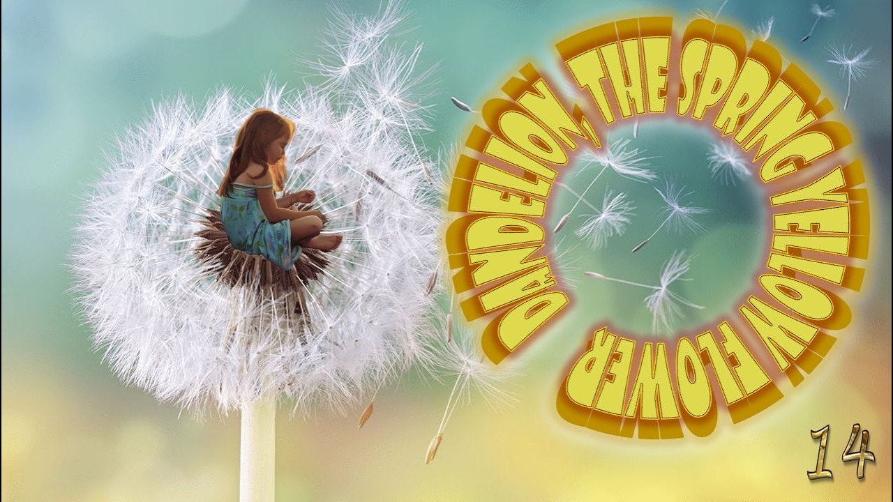 Dandelion 14, the spring yellow flower in art