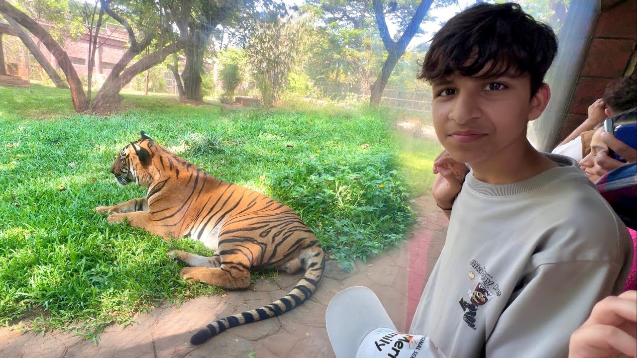 Tiger Etni Paas Aagya 😍 Dar Gayi Family