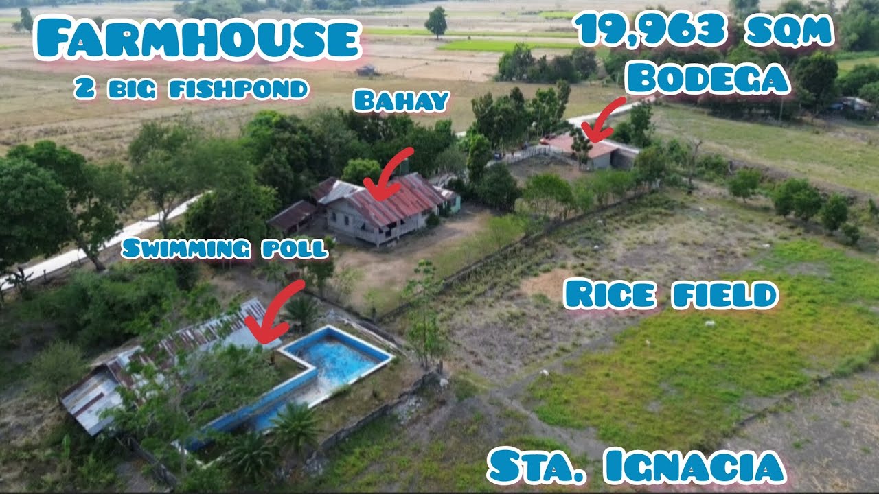 Lot#631 Farm house w/ fruit bearing trees bahay,bodega,kulungan ng hayop, 2 big fishpond,old pool.