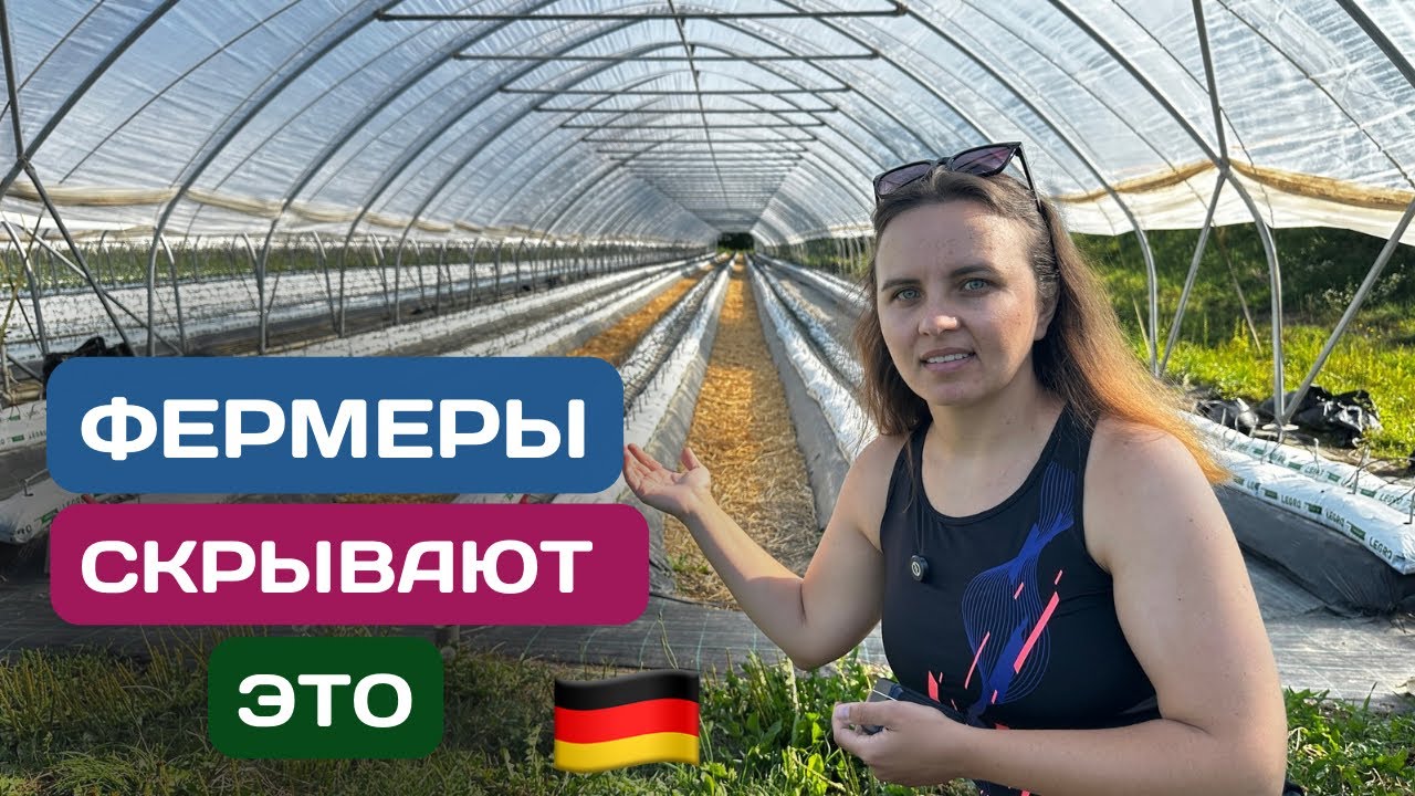 Шокирующий УРОЖАЙ в Германии — такого мы не ожидали!