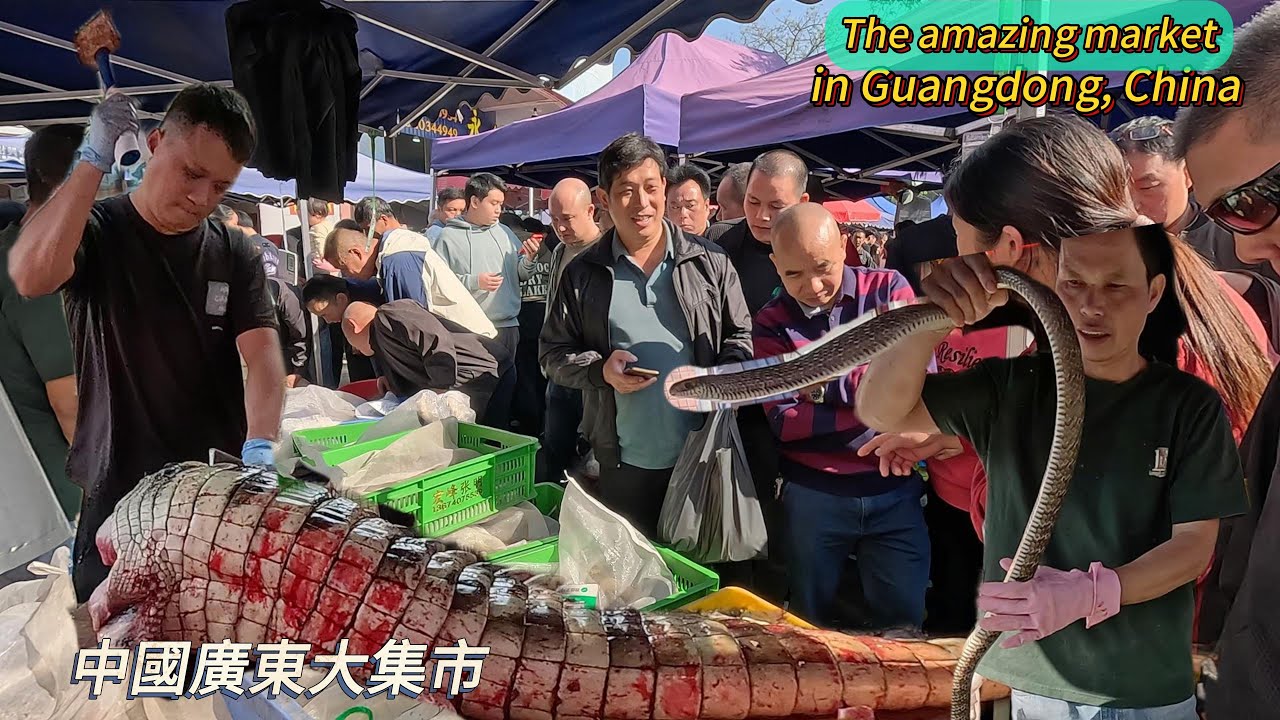 Удивительные рынки в Гуандуне, Китай, спешат купить мясо крокодилов и змей / 4k