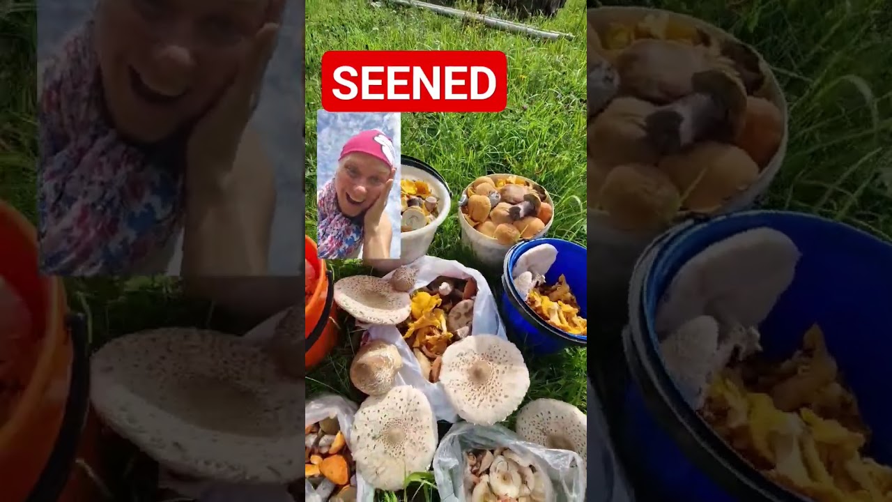 Seened #mushrooms