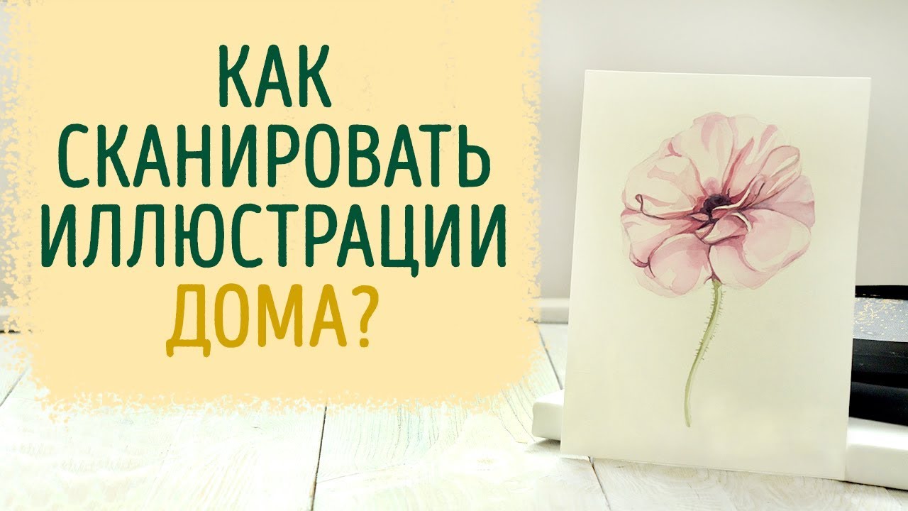 Как сканировать большие рисунки дома?