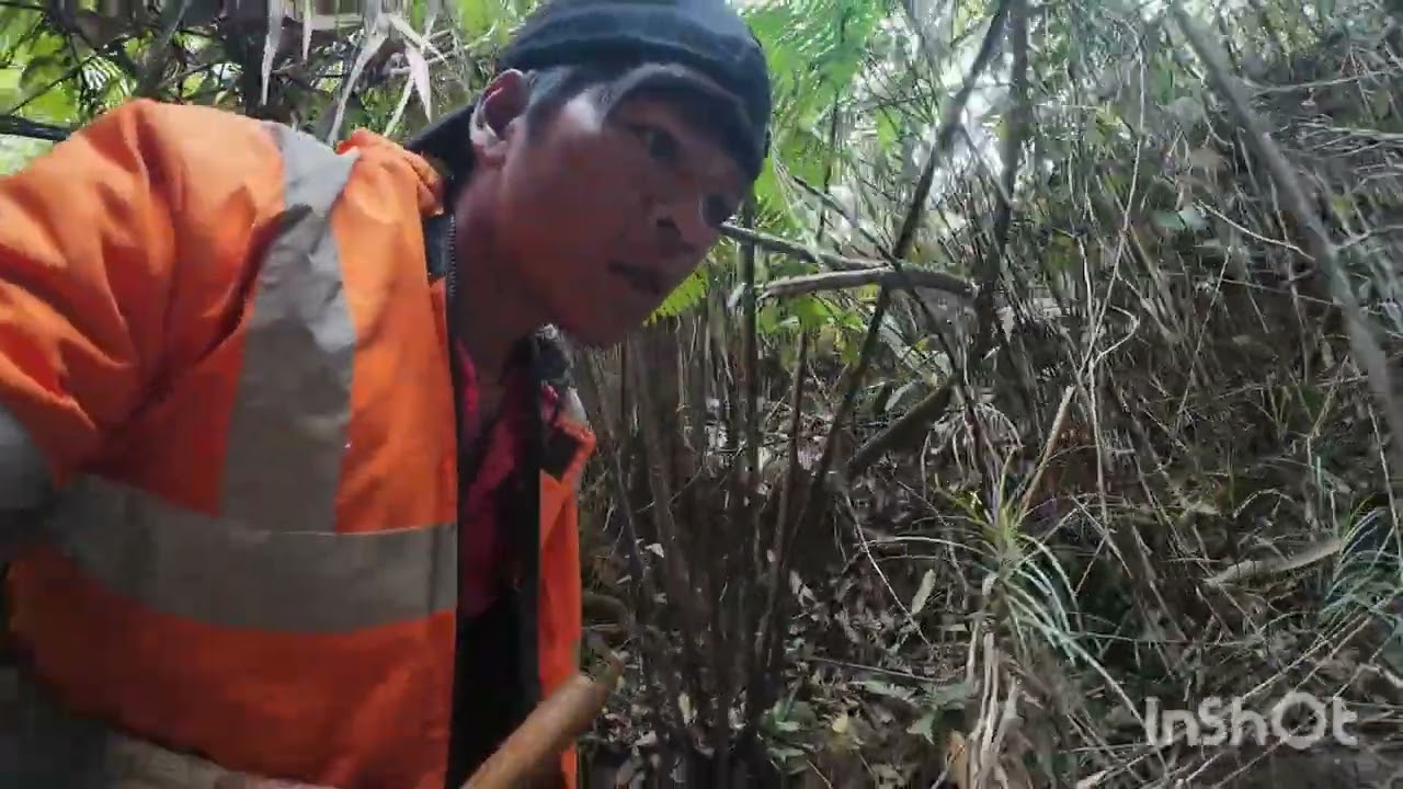 ໄປອີກຫ້ວຍໃຫມ່#ไปดูสตรีมอื่นเถอะ@Action4Action4 @tseries 
