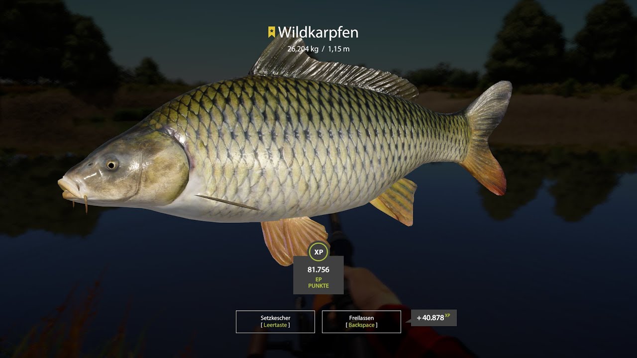 Wildkarpfen Trophy 26 Kg Russian Fishing 4 2021 07 24 13 59 49