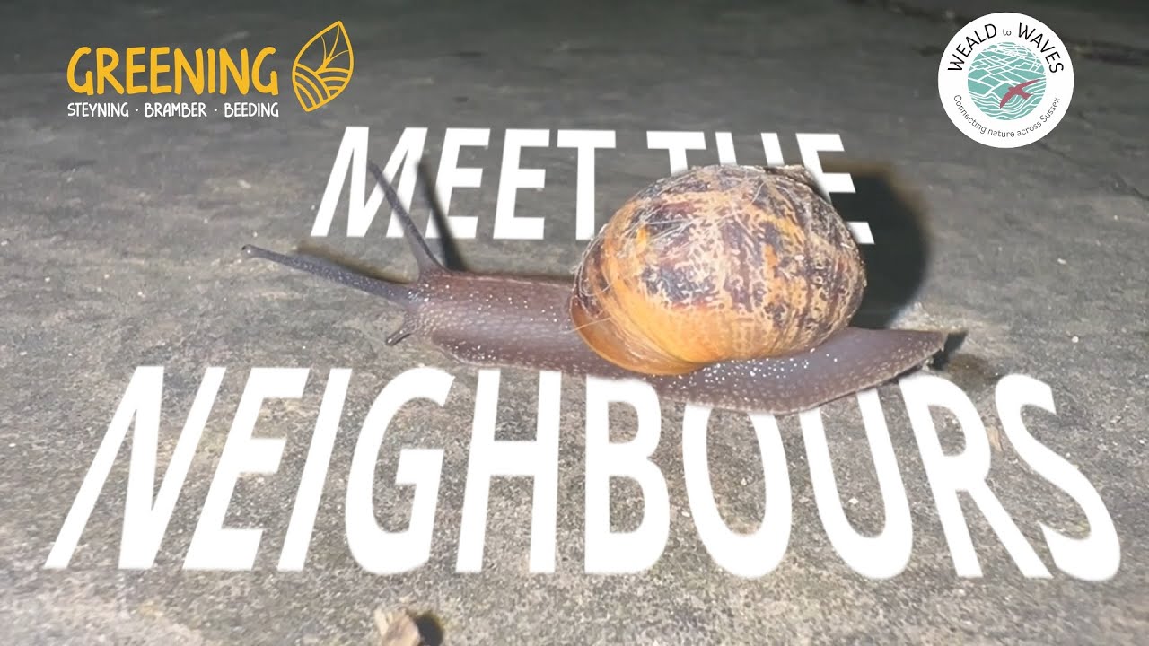 Meet the Neighbours