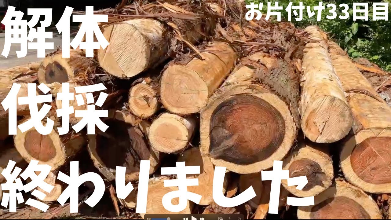 【お片付け33日目】解体と伐採が終わりました。Before/After。