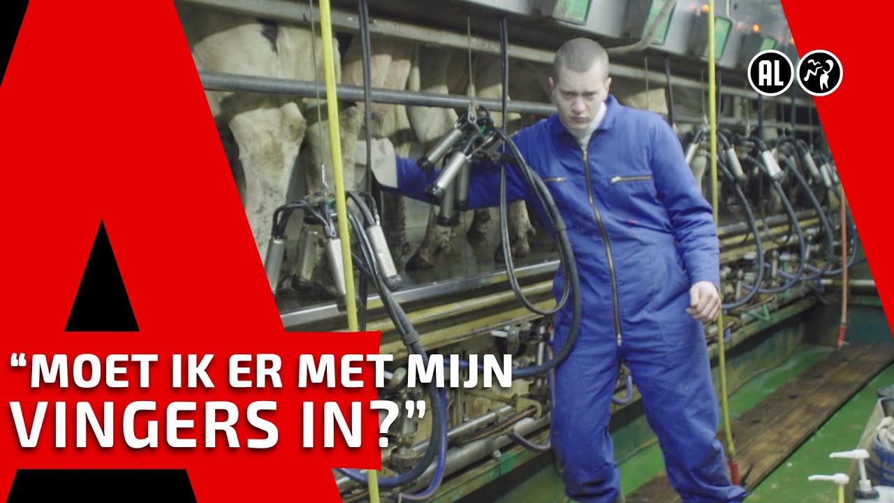 STIJN // BOER VOOR ÉÉN DAG