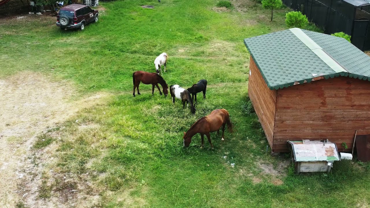 Divjake, Fier County, western Albania ( SkyBuzzing )