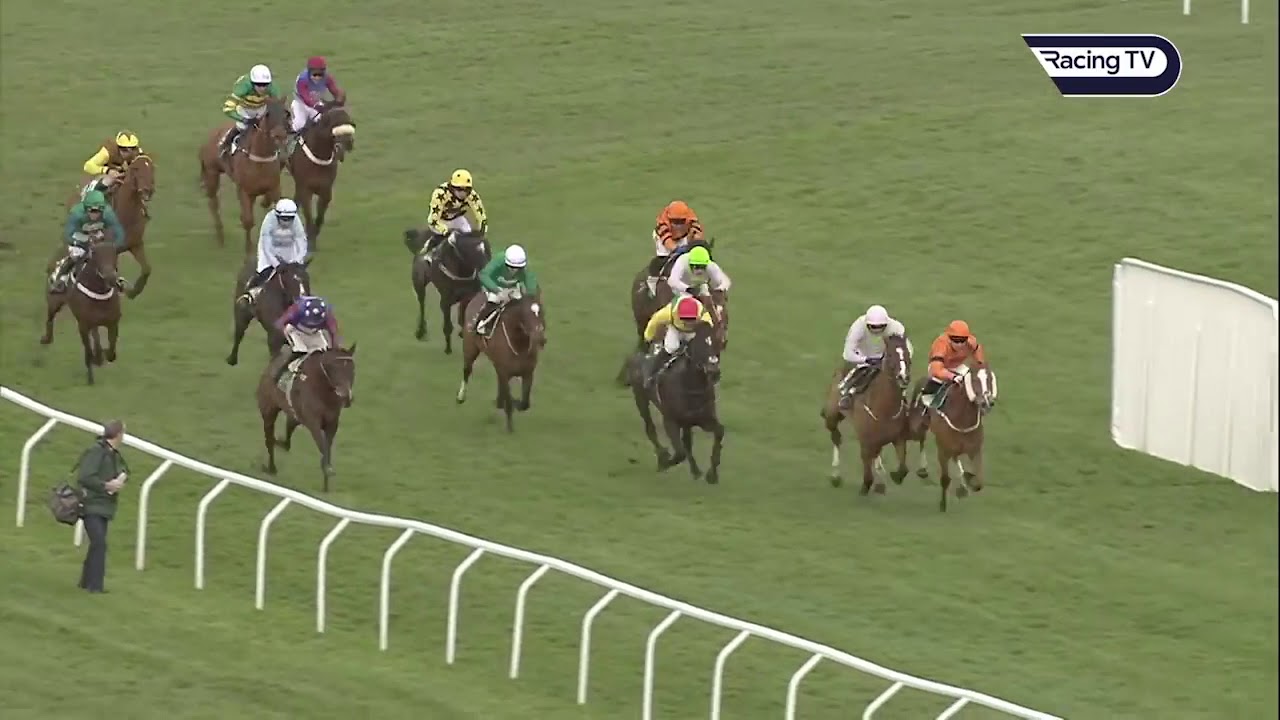 Cheltenham Festival 2019 Day 3 - All Finishes