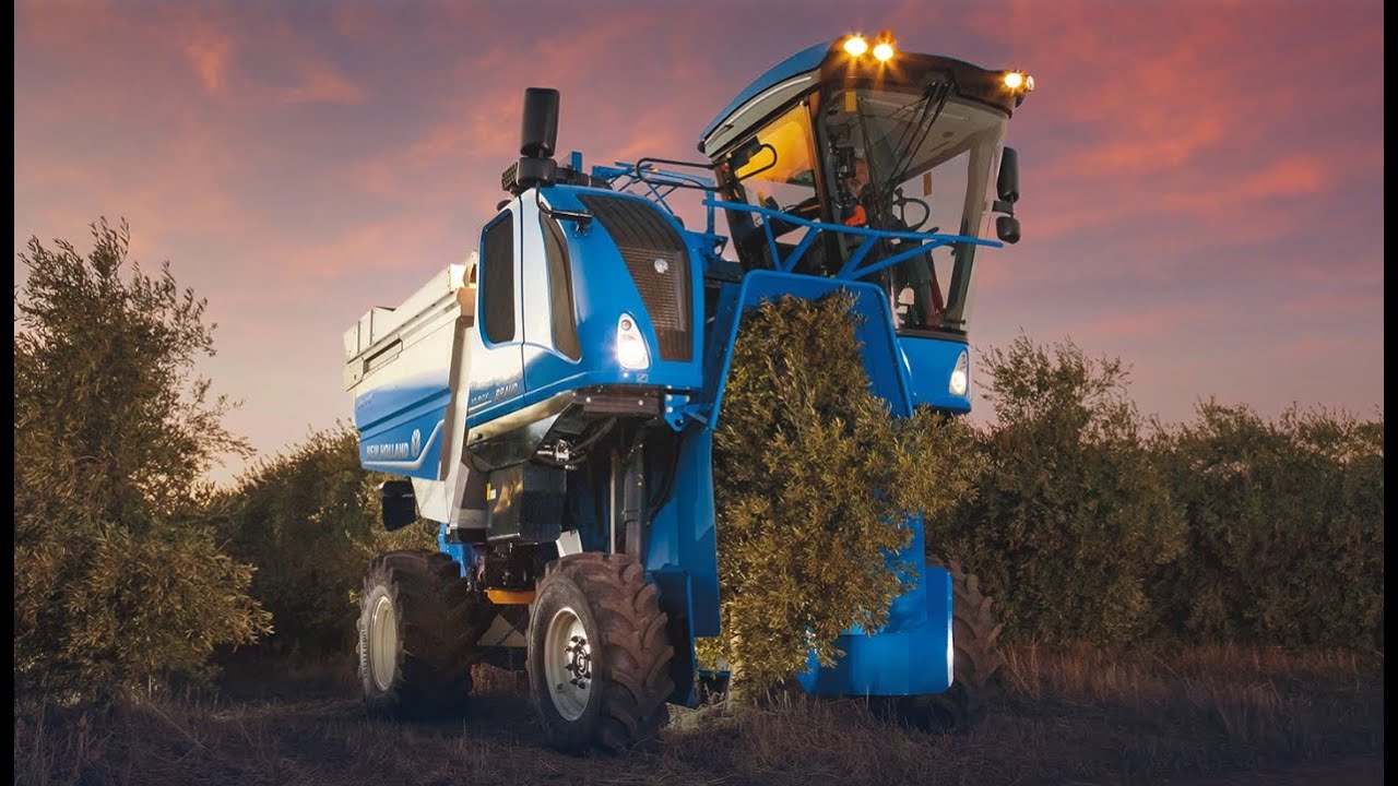 New Holland : La Récolteuse d'Olives qui n'a Peur de Rien ! Au Cœur du Maroc