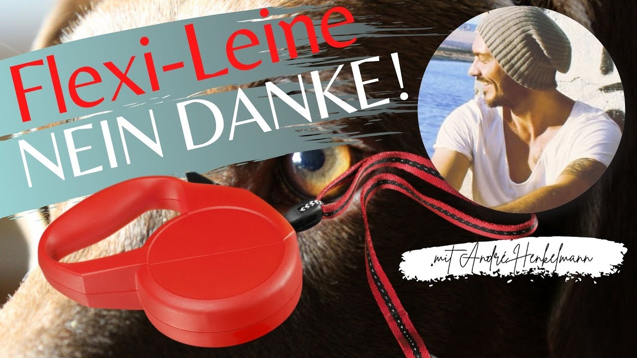 Warum eine Flexi-Leine kontraproduktiv ist! Profi-Tipp/Hundeerziehung!