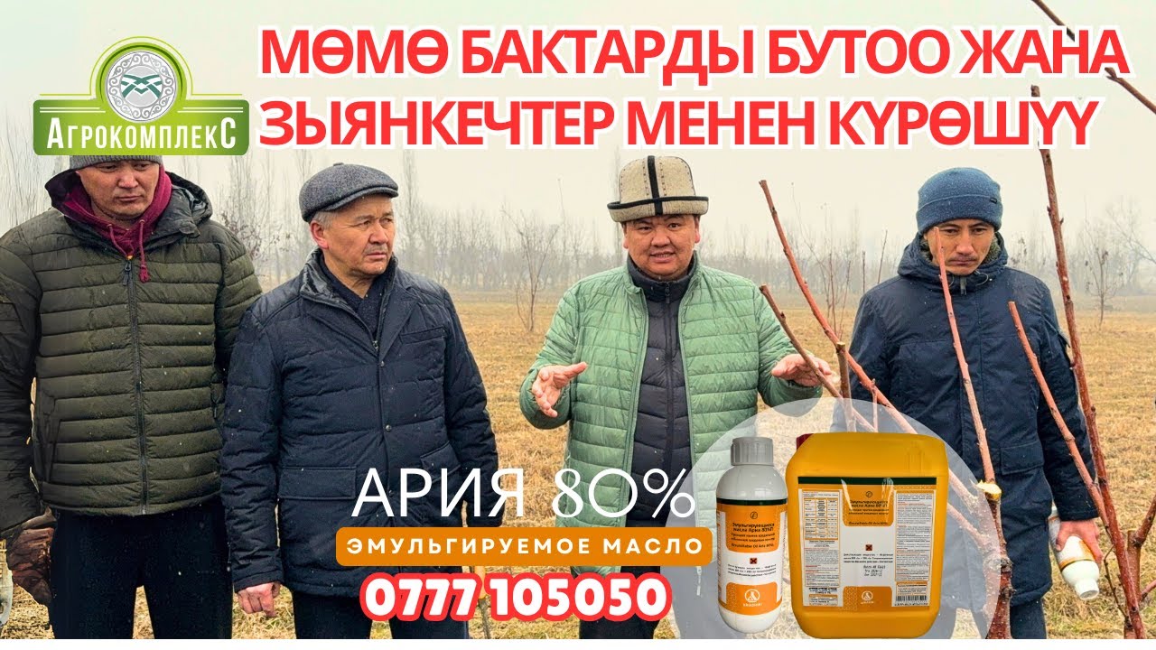 Мөмө бактарды бутоо жана зыянкечтер менен күрөшүү
