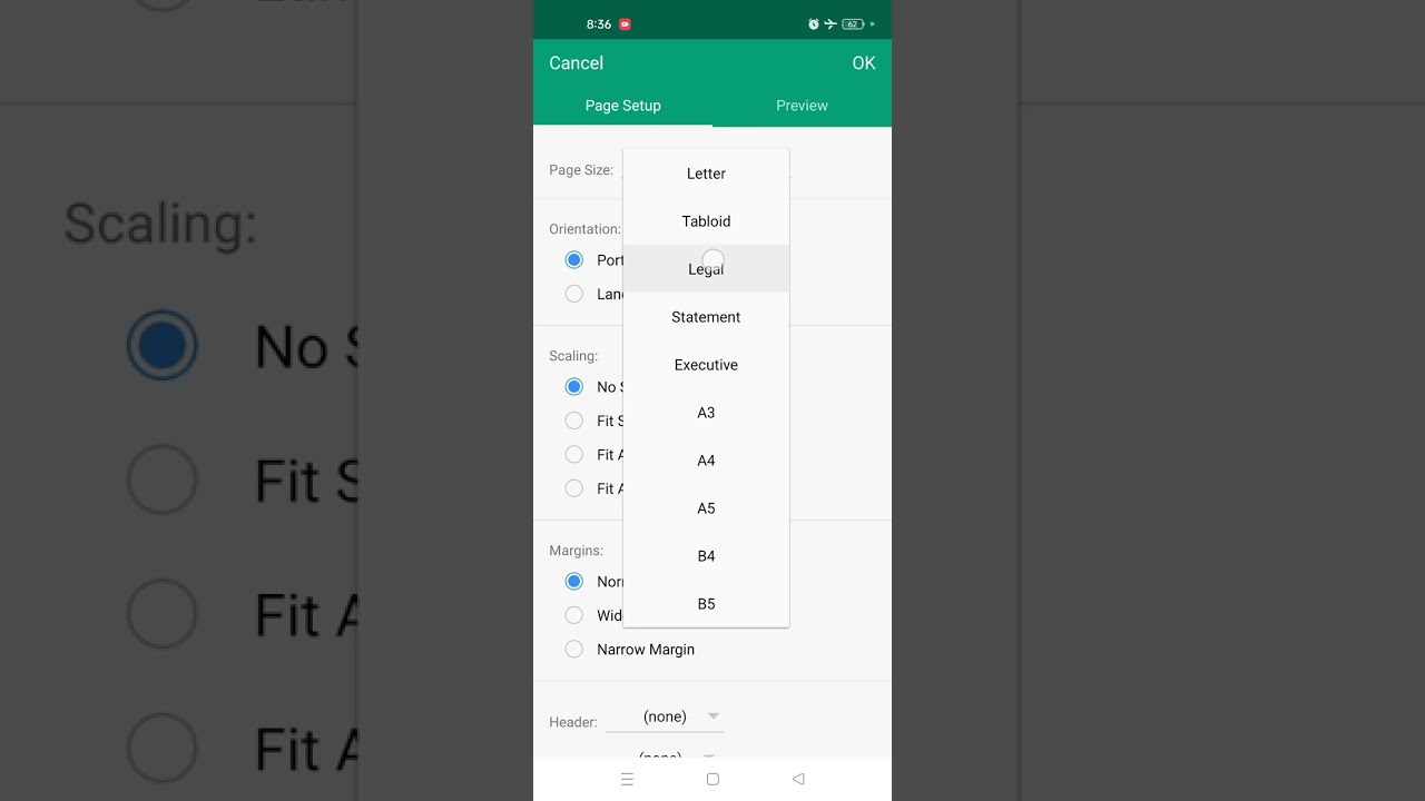 WPS Excel sheet Page and Print Preview