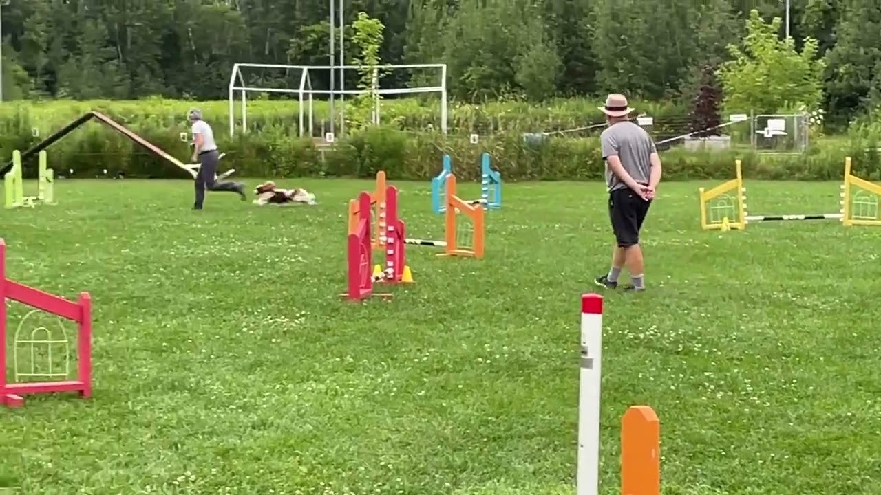 AAC Agility Trial - Starters Jumpers 1